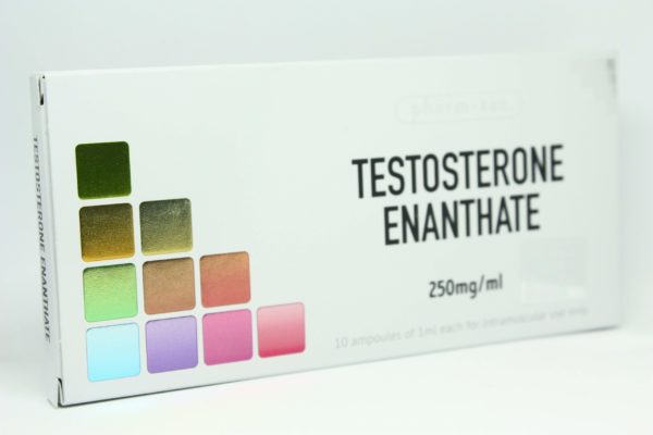 Testosterone Enanthate Pharm Tec scaled 1